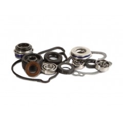HOT RODS SET ZA OBNOVO VODNE PUMPE KX 125 2003-2005